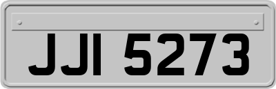 JJI5273