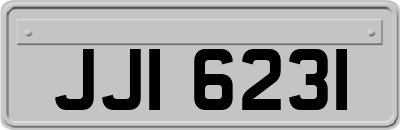 JJI6231
