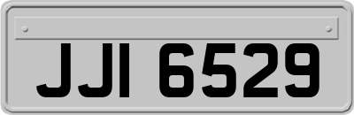 JJI6529
