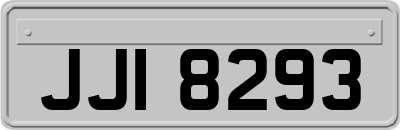 JJI8293