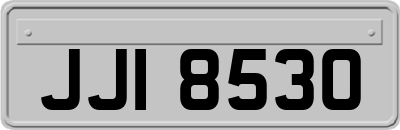 JJI8530