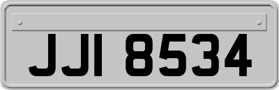 JJI8534