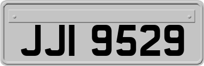 JJI9529