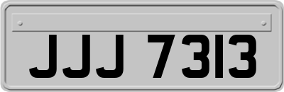JJJ7313