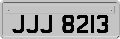 JJJ8213