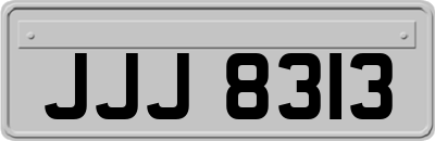 JJJ8313
