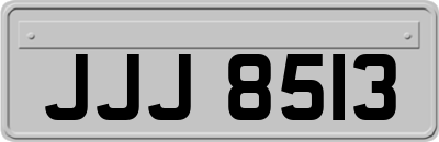 JJJ8513