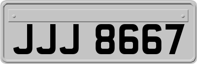 JJJ8667