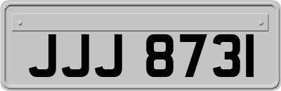 JJJ8731