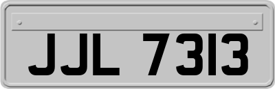 JJL7313