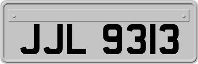 JJL9313