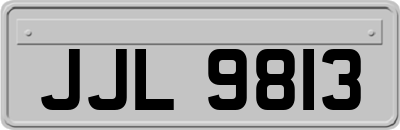 JJL9813