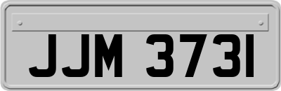 JJM3731
