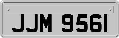JJM9561