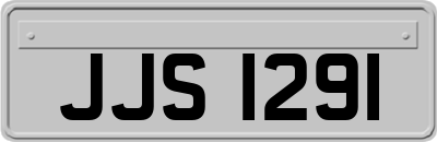 JJS1291