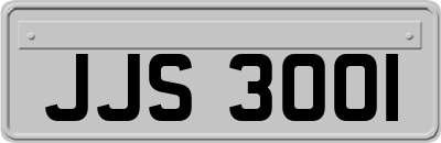 JJS3001