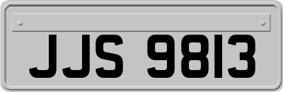 JJS9813