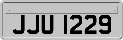 JJU1229