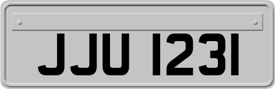 JJU1231
