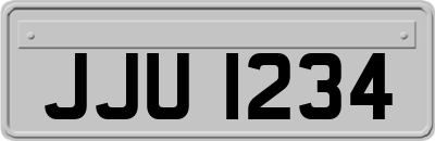 JJU1234