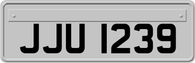 JJU1239