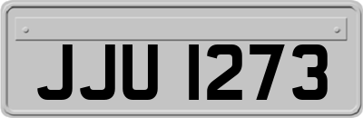 JJU1273