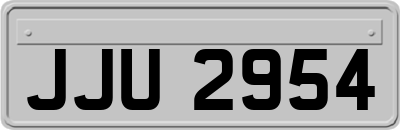 JJU2954