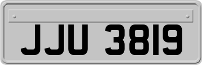 JJU3819