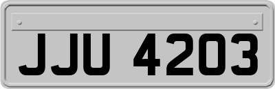 JJU4203