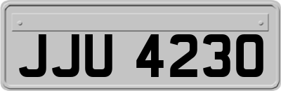 JJU4230