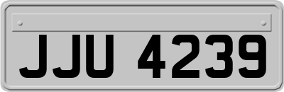 JJU4239