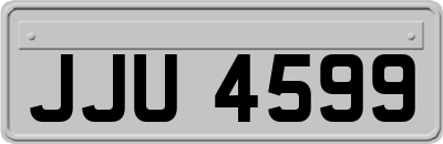 JJU4599