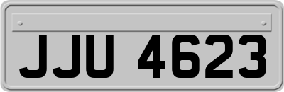 JJU4623