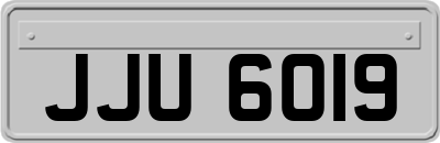 JJU6019