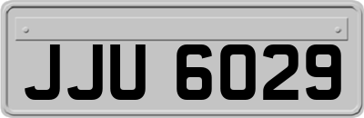 JJU6029