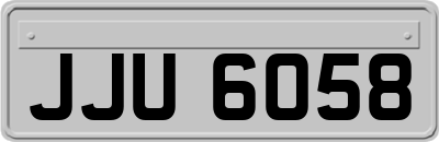 JJU6058