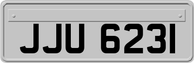 JJU6231