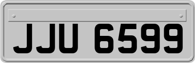 JJU6599