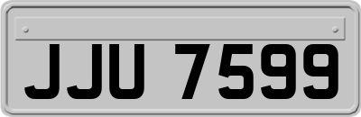 JJU7599