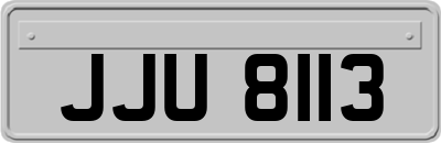 JJU8113