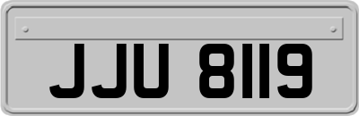 JJU8119