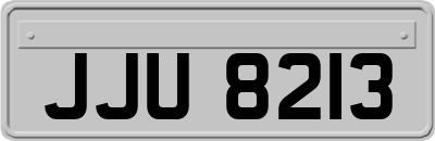 JJU8213