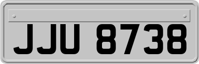 JJU8738