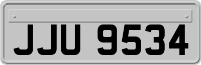 JJU9534