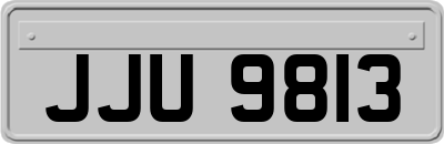 JJU9813