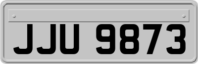 JJU9873