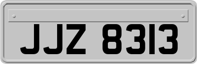 JJZ8313