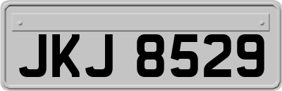 JKJ8529