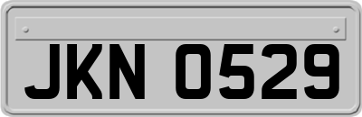 JKN0529
