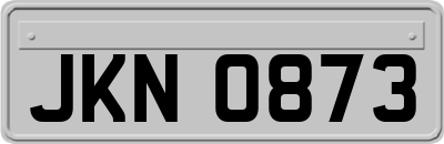 JKN0873